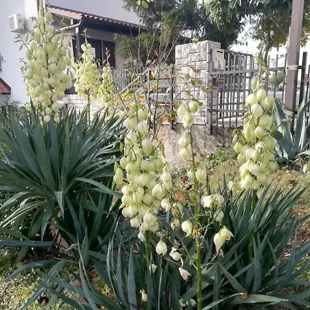 Apartamento Liliana